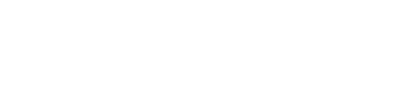 DataPrint Solutions logo